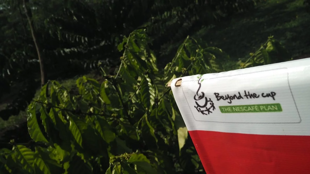 Jadi Petani Kopi, Untungkah? #DiBalikSecangkirKopi 1 foto 1 nescafe