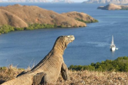 Pulau Komodo