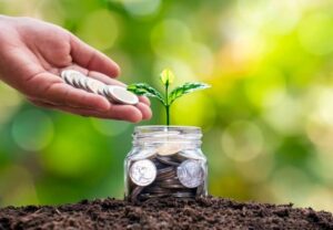 cara-mudah-investasi-reksadana-di-bibit