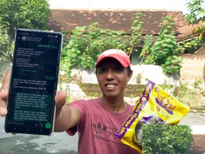 HaloBOLT Teman WhatsApp Konsultasi Anabul di Indonesia