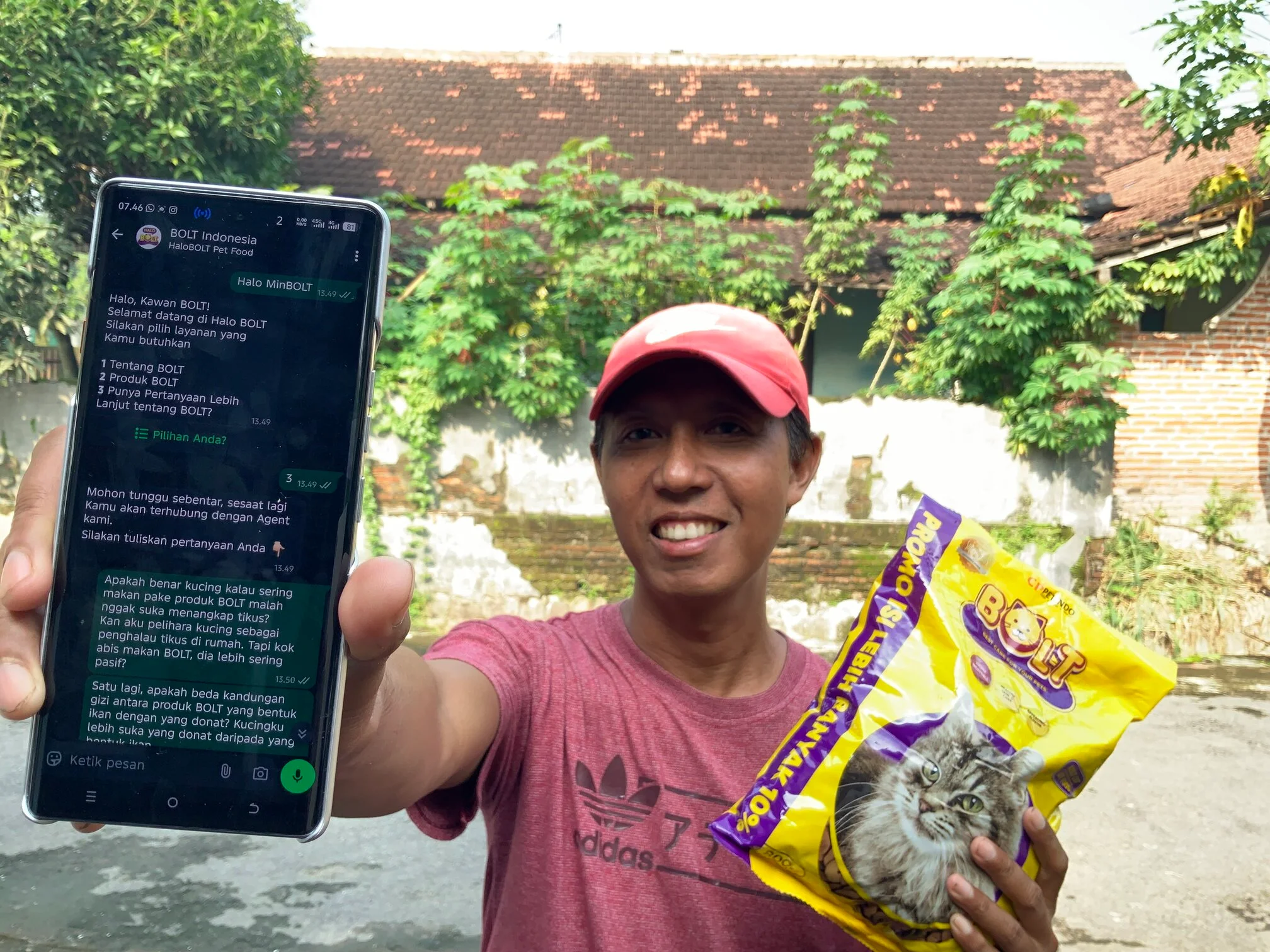 HaloBOLT teman whatsapp konsultasi anabul kucing