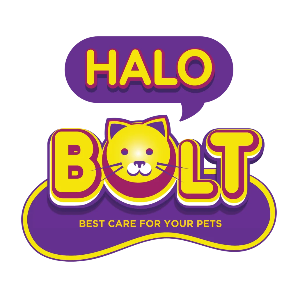Logo HaloBOLT BOLT Indonesia