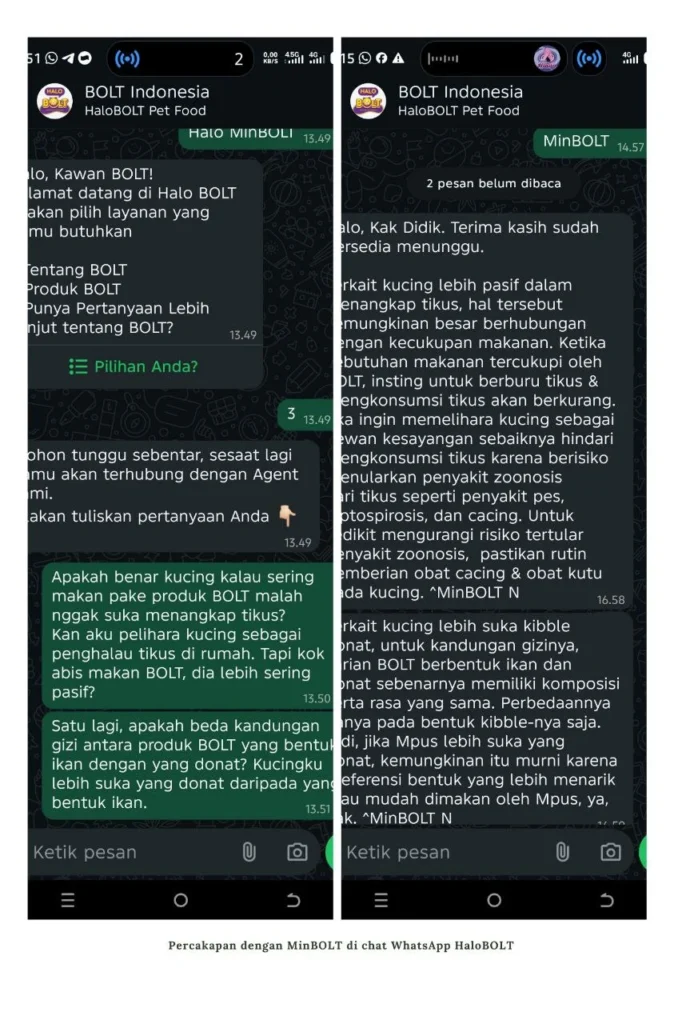 MinBOLT layanan digital BOLT Cat Dog