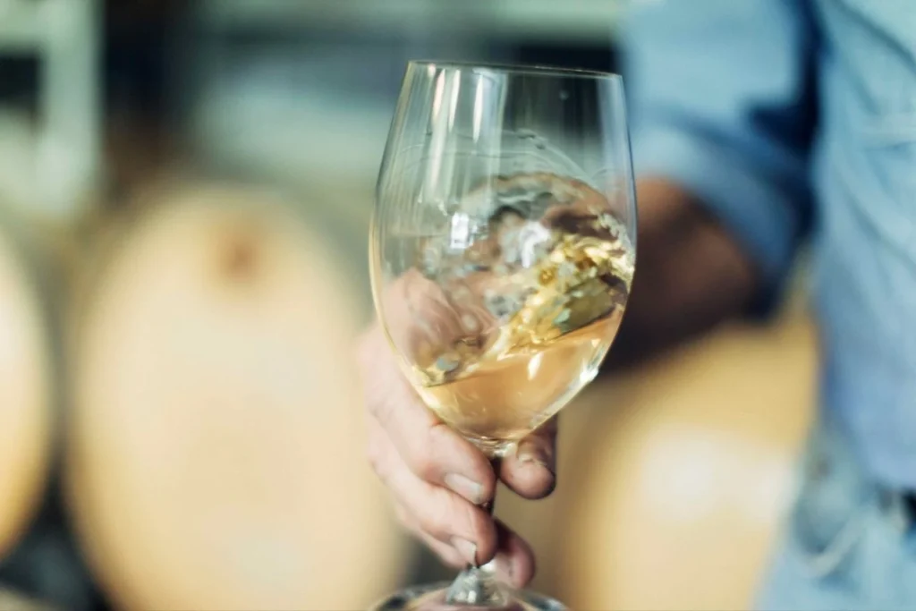 Taste Beyond Wine Australia di Indonesia 2 Wine Australia Taste Beyond